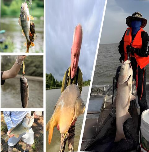 6 Pcs Fishing Lure Set with Durable Hard Plastic Tackle Box | Bass Trout Saltwater Freshwater Fishing Lures | Slow Sinking Lifelike Jointed Swimbait for Beginner & Pro Anglers in Saudi Arabia