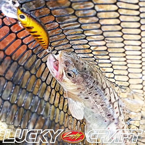 Lucky Craft المحدود Minnow 50s ~ غرق ~ إغراء سمك السلمون المرقط ، طعم الصيد in Saudi Arabia