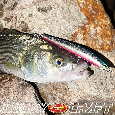 Lucky Craft Flashminnow 125 Yawara ، سحر الصيد في المياه المالحة ، وملحقات صيد الأسماك الأزهار Jerkbait ، وسحر الصيد في الهلبوت وصيد الجهير in Kuwait