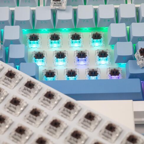 ZhouWang 36PCS Blue Click Switch,Clicker for 3D Prints 、Gaming Keyboards. | Pre-Lubricated,Dustproof and Waterproof Click Switch,Crisp clicking Sound with Strong Tactile Feedback,Keyboard Accessories in Kuwait