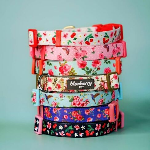 Blueberry Pet Dog Collar - Turquoise Floral Rose Print, Adjustable for Small Dogs, Neck 12"-16", Pink Puppy Collar with Eco-Friendly Buckles, Ideal Small Dog Collars for Female Dogs in Saudi Arabia