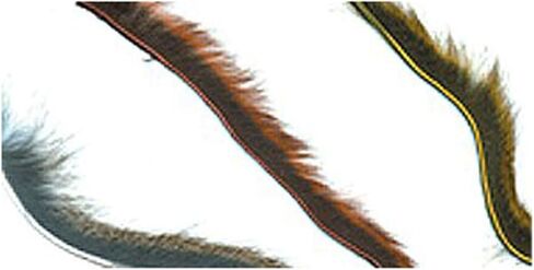 Micro Pine Squirrel Zonkers Black in Kuwait