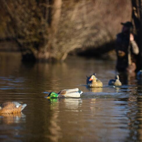 أفيري رعشة الحبل طقوس طقم التحكم في الحركة | الطيور المائية صيد بطة Duck Decoy Discyment System | يحمل ما يصل إلى 6 شرك ، يتضمن خطًا مضفرًا 100 قدم ، مرساة 1.5 رطل ، حقيبة حمل ، 81034 in Kuwait
