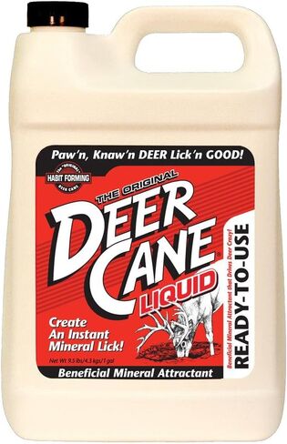 الغزلان قصب السائل in Saudi Arabia