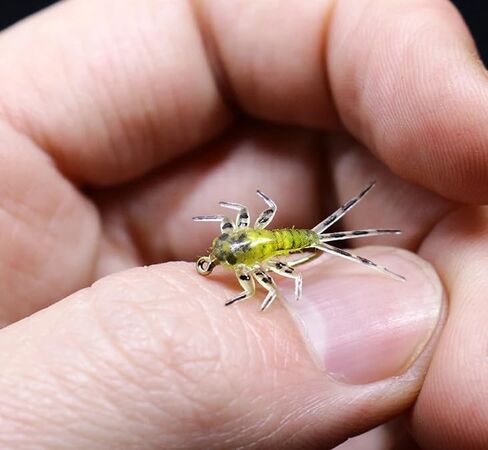 حزمة من 20 ذبابة ربط واقعية mayfly الحوريات الطيران أجسام المطاط in Saudi Arabia