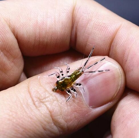 حزمة من 20 ذبابة ربط واقعية mayfly الحوريات الطيران أجسام المطاط in Saudi Arabia