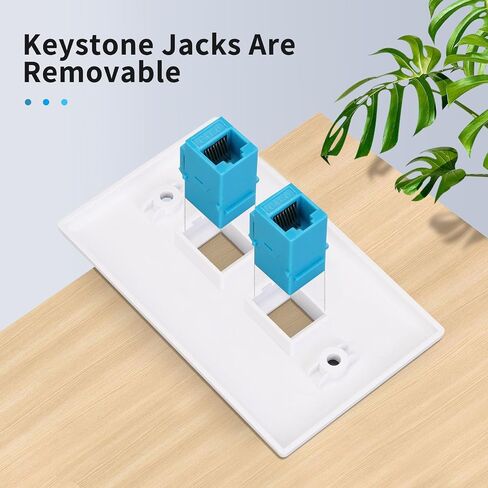 2 Port Ethernet Wall Plate,Ethernet Cable Wall Plate with RJ45 1Pack in Kuwait