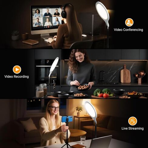 Ring Light Tripod for iPhone, 10" Circle LED Ring Light with Stand for Photography Video Recording, 3 Color Modes, Adjustable Height for Live Streaming, Content Creation, TikTok, YouTube in Kuwait