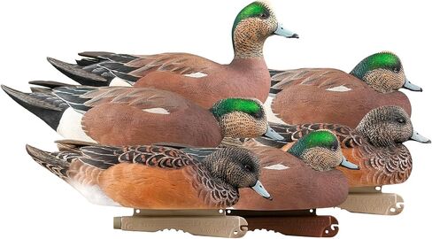 Avery GHG Pro-Grade Wigeon Decoys, 6-Pack | Realistic Durable Waterfowl Hunting Floating Duck Decoys with 60/40 Forward Weighted Swim Keel | Rester/Surface Feeder/High Head Postures (73143) in Saudi Arabia
