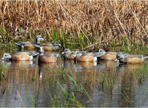 Avery GHG Pro-Grade Wigeon Decoys, 6-Pack | Realistic Durable Waterfowl Hunting Floating Duck Decoys with 60/40 Forward Weighted Swim Keel | Rester/Surface Feeder/High Head Postures (73143) in Saudi Arabia