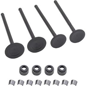 3087982 3087981 Intake Valve Exhaust Valves Seals Kit Fit for Polaris Predator 500 Outlaw 500 2003-2007