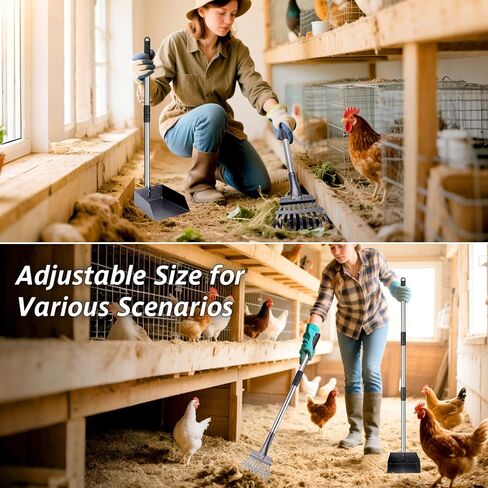 BABORUI Metal Chicken Poop Scooper, Stretchable Litter Scooper for Chicken(21 to 39.5 Inch), Detachable Stainless Steel Chicken Coop Cleaning Tools, Heavy Duty Poop Shovel for Chicken Coop Accessories in Kuwait