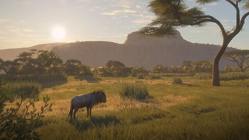 TheHunter Call of the Wild - 2019 Edition (Xbox One) (Renewed) in Saudi Arabia