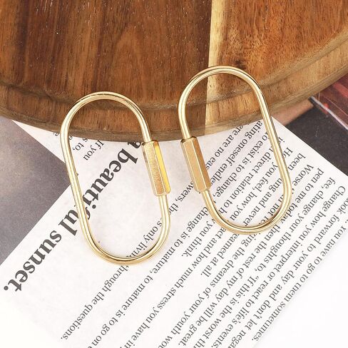 10pcs Brass Keychain, Gold Carabiner Clip with Secure Locking Screw Brass Key Ring for Men Women Bags Luggage Tags Pet Collar Clips in Saudi Arabia