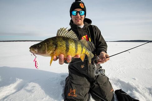 Northland Fishing Tackle Buck-Shot Coffin Ice Fishing Jigging Spoon Lure, Assorted Sizes & Colors for Walleye, Perch, Crappie, & More in Saudi Arabia