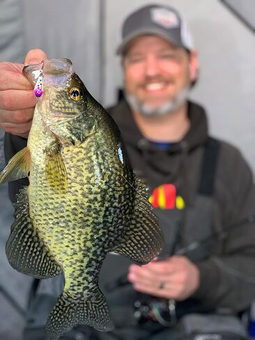 Northland Fishing Tackle Buck-Shot Coffin Ice Fishing Jigging Spoon Lure, Assorted Sizes & Colors for Walleye, Perch, Crappie, & More in Saudi Arabia