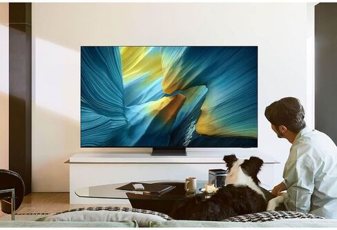 Samsung QN77S95F 77 inch Class OLED 4K S95F Vision AI Smart TV (2025) in Saudi Arabia