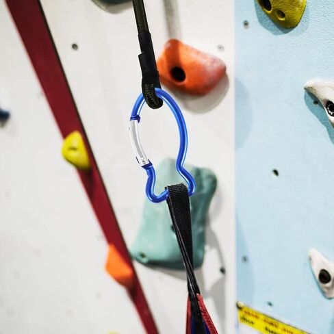 BESPortble 10pcs مقاطع السمك carabiner ، أبازيم السمك من سبائك الألومنيوم-الربيع في الخارج متعدد الاستخدام in Saudi Arabia