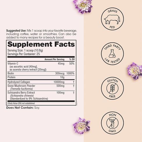 مسحوق ببتيد الكولاجين AM من Winged Wellness Glow Up | بشرة الصباح و Adaptogens للبشرة المتوهجة والطاقة. الكولاجين الذي يتغذى على العشب مع عرف الأسد والماكا وفيتامين ب12 بدون نكهة، 21 حصة in Saudi Arabia