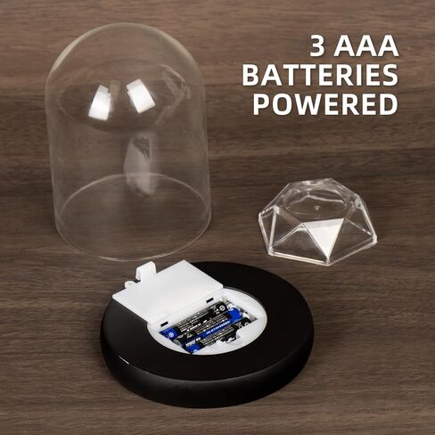 DuvinDD زجاج قبة قاء زجاجي مع قاعدة إضاءة LED كونترتوب جرس عرض قبة عرض زجاجي شفاف حافظة ديكو، 3.94 بوصة عمق × 5.11 بوصة ارتفاع، هدايا للنساء in Kuwait