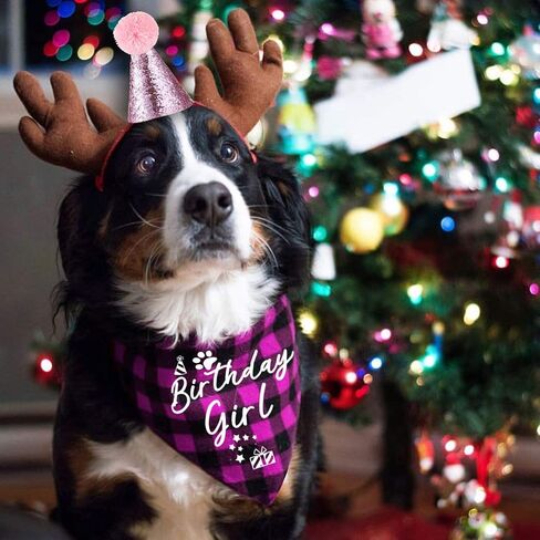 YROVWENQ Classic Pink Plaid Pet Puppy Dog Bandana Accessories, Girl Dog Birthday Bandana Scarf Bibs for Pet Birthday Outfit Party Supplies in Saudi Arabia