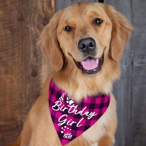 Family Kitchen Funny Cute Lifeguard Pet Dog Cat Bandana Scarf for Puppy Dog Beach Pool Accessories Bandana in Saudi Arabia