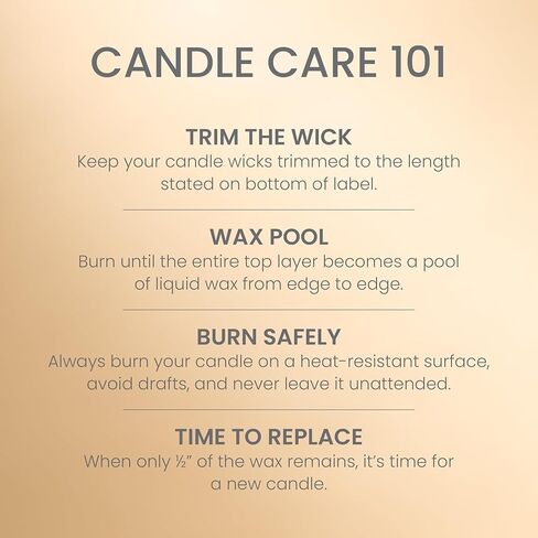 Yankee Candle Balsam & Cedar Scented, Signature 4.3oz Small Tumbler Single Wick Candle, Over 20 Hours of Burn Time, Christmas | Holiday Candle in Kuwait