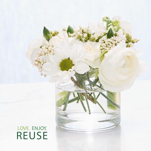 Yankee Candle Balsam & Cedar Scented, Signature 4.3oz Small Tumbler Single Wick Candle, Over 20 Hours of Burn Time, Christmas | Holiday Candle in Kuwait