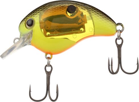 Shimano Sxy G Shad World Rush Flash Boost Crankbait (WR56FSGS) Fishing in Saudi Arabia