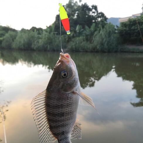 10 Packs Weighted Bobbers for Fishing, EVA Floats Rocket Floats Weighted Fishing Bobbers for Crappie, Catfish, Bluegill, Sunfish, Bass in Saudi Arabia