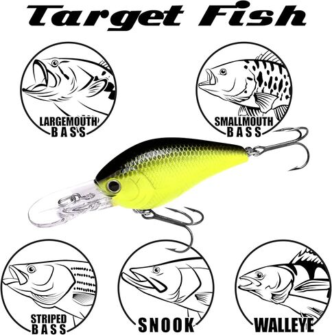 Lucky Craft LC 1.5DD ، Deep Diver ، Crankbait ، معدات الصيد في المياه العذبة ، الفوز بالبطولة ، الطعم البطل ، إكسسوارات الصيد ، صيد الأسماك ، Pike ، Snook in Kuwait