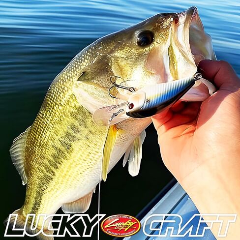 Lucky Craft LC 1.5DD ، Deep Diver ، Crankbait ، معدات الصيد في المياه العذبة ، الفوز بالبطولة ، الطعم البطل ، إكسسوارات الصيد ، صيد الأسماك ، Pike ، Snook in Kuwait