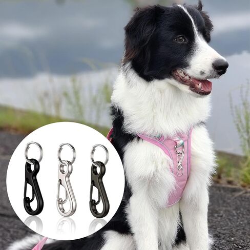 24 Sets Mini Carabiner Clip, Small Carabiner Clip Metal Spring Snap Hooks with 24PCS Double Loops, 1 Inch Mini Paracord Hanging Clips for Camera Strap, Flashlight, Key Chain, 3 Colors in Saudi Arabia