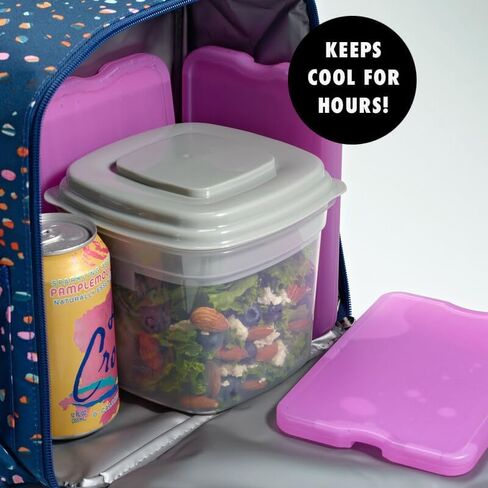 Cool Coolers by Fit + Fresh, Reusable & Long-Lasting XL Slim Ice Packs, Cold Packs for Lunch Boxes, Ice Packs for Lunch Bags. Cooler Accessories for Camping, Beach, Lunch, and Work, 8PK, Purple in Kuwait