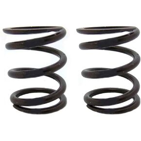 ARC Racing (2) Pack of 22Lb Valve Springs