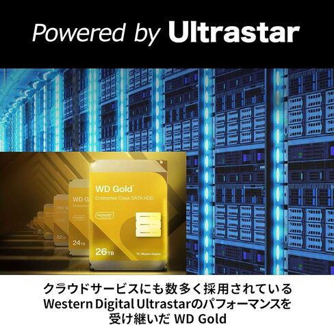 محرك أقراص ثابتة Western Digital WD Gold داخلي ، 18 تيرابايت ، 3.5 بوصة ، SATA 7200 دورة في الدقيقة ، 512 ميغابايت ذاكرة التخزين المؤقت ، 512 ميغابايت ، مؤسسة ، 5 سنوات ضمان الشركة المصنعة ، حزمة ECO (تاجر معتمد في اليابان) in Saudi Arabia