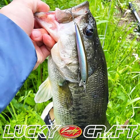 Lucky Craft Japan Flash Minnow 80sp ~ JDM Jerkbait جنبًا إلى جنب in Kuwait