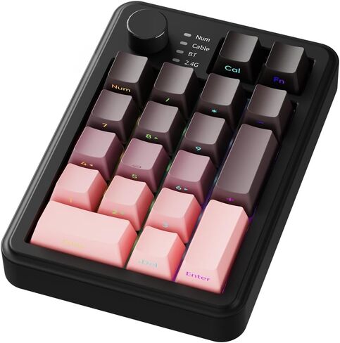 EWEADN NK20 Wireless Retro Mechanical Numpad with Knob, Bluetooth/2.4GHz/USB-C Connect with RGB Backlight Hot Swappable Number Pad, 20-Key Rechargeable External Num Pad for Win, Mac, Black Gray in Kuwait