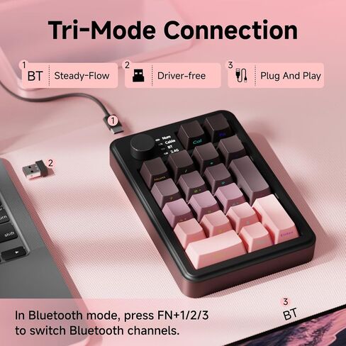 EWEADN NK20 Wireless Retro Mechanical Numpad with Knob, Bluetooth/2.4GHz/USB-C Connect with RGB Backlight Hot Swappable Number Pad, 20-Key Rechargeable External Num Pad for Win, Mac, Black Gray in Kuwait