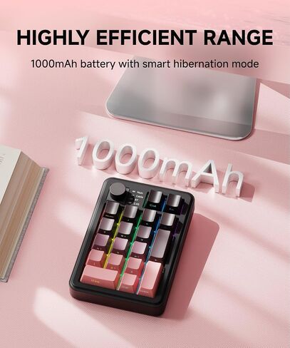 EWEADN NK20 Wireless Retro Mechanical Numpad with Knob, Bluetooth/2.4GHz/USB-C Connect with RGB Backlight Hot Swappable Number Pad, 20-Key Rechargeable External Num Pad for Win, Mac, Black Gray in Kuwait