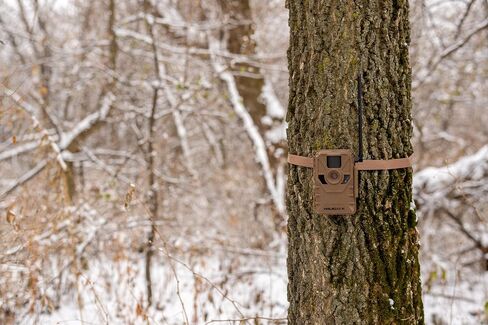 Muddy Cellerest 3.0 Cellular Trail Camera in Saudi Arabia