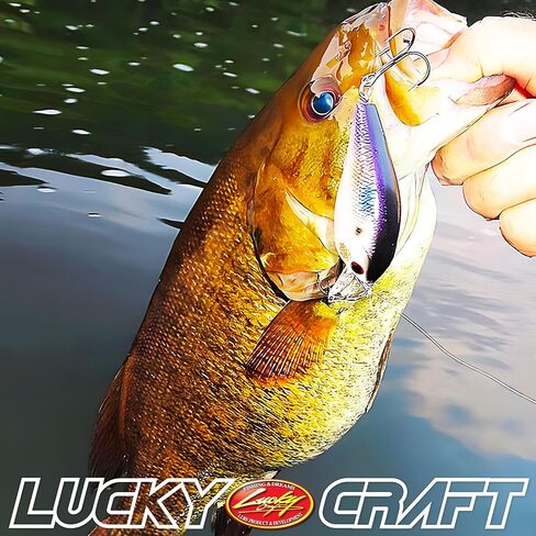 Lucky Craft Fishing Lure LC 2.0DRS ~ صوت حشرجة الموت العميق ~ ، crankbait in Saudi Arabia