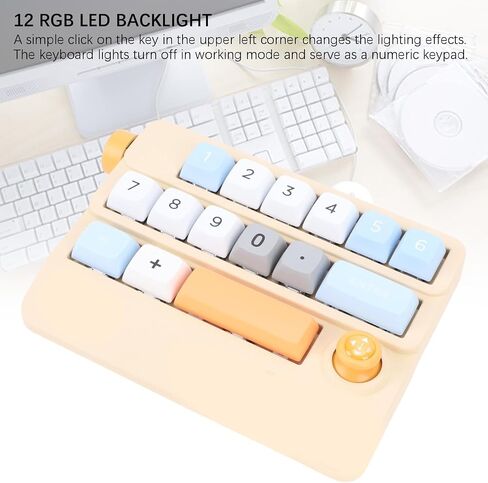 لوحة مفاتيح Zunate قوية مع 17 مفتاحًا قابلاً للبرمجة ، NUPTING USB C Mechanical Numpad لجهاز الكمبيوتر المحمول ، 12 أوضاع إضاءة ، دعم مبادلة مفتاح الساخنة ، التوصيل والتشغيل (الأصفر) in Kuwait