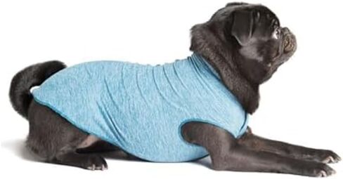 Gold Paw Sun Shield Dog Tee 12 Pebble Grey in Saudi Arabia
