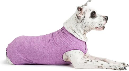 Gold Paw Sun Shield Dog Tee 12 Pebble Grey in Saudi Arabia
