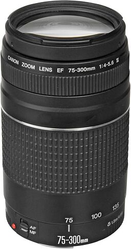 Camera Bundle for Canon EOS 2000D / T7 with EF-S 18-55mm f/3.5-5.6 III and EF 75-300mm f/4-5.6 III Lens + Accessories Bundle (128GB, 50in Tripod, Extra Battery, and More) (Renewed) in Saudi Arabia