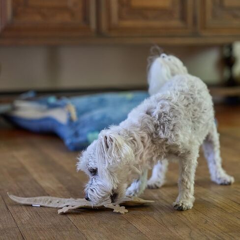 لعبة كلب خالية من الحشو الجلدي من سكينيز - ثعبان 25 انش in Kuwait