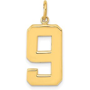 Charm Pendant 14K Yellow Gold Themed 9 25 mm 10 Casted Large Polished Number
