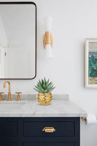 Briful Succulents Plant Artificial for Home Decor, Realistic Potted Fake Succulent Plant, Cute Aloe Succulent Faux Plant, Bookshelf Tabletop Decor, Morden Farmhouse Chic Bathroom Decorations in Kuwait