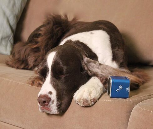 Pet Tunes Bluetooth Speaker Preloaded with Calming Canine Music in Saudi Arabia